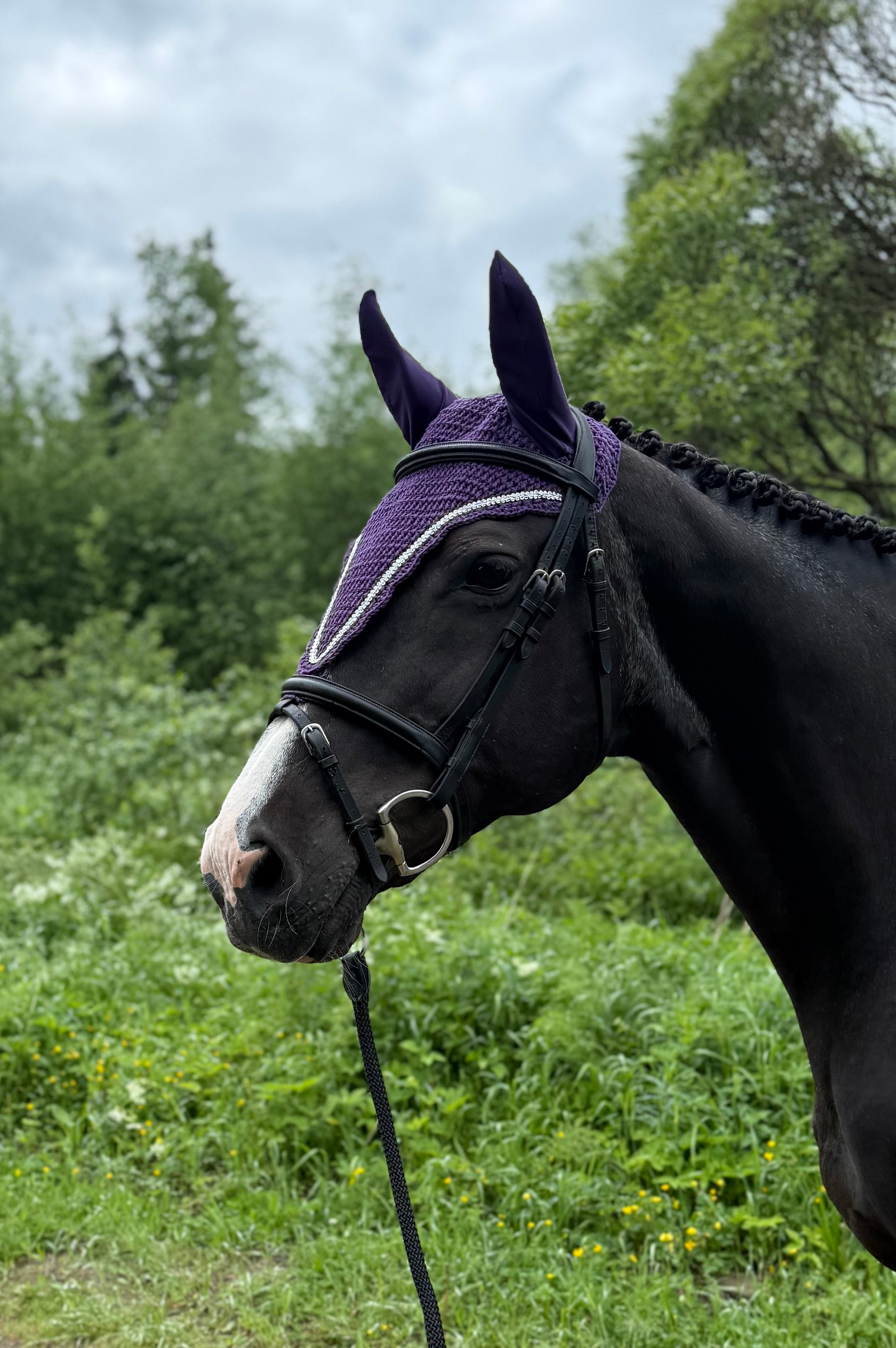 VIOLETTI PITKÄ KORVAHUPPU