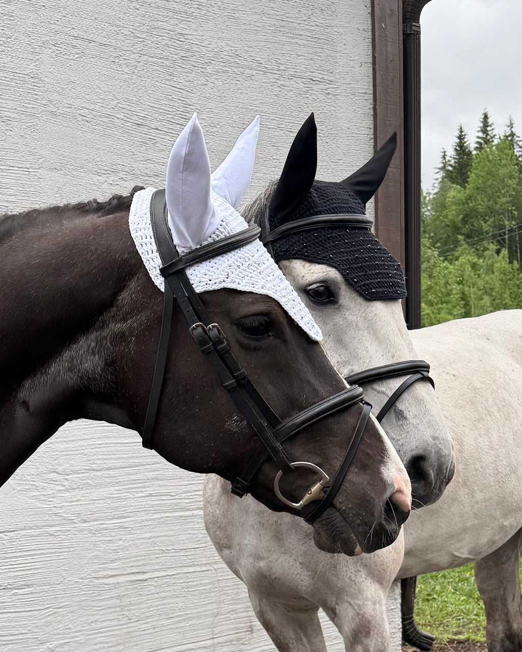 MUSTA NELIÖREUNAINEN KORVAHUPPU MUSTILLA STRASSEILLA