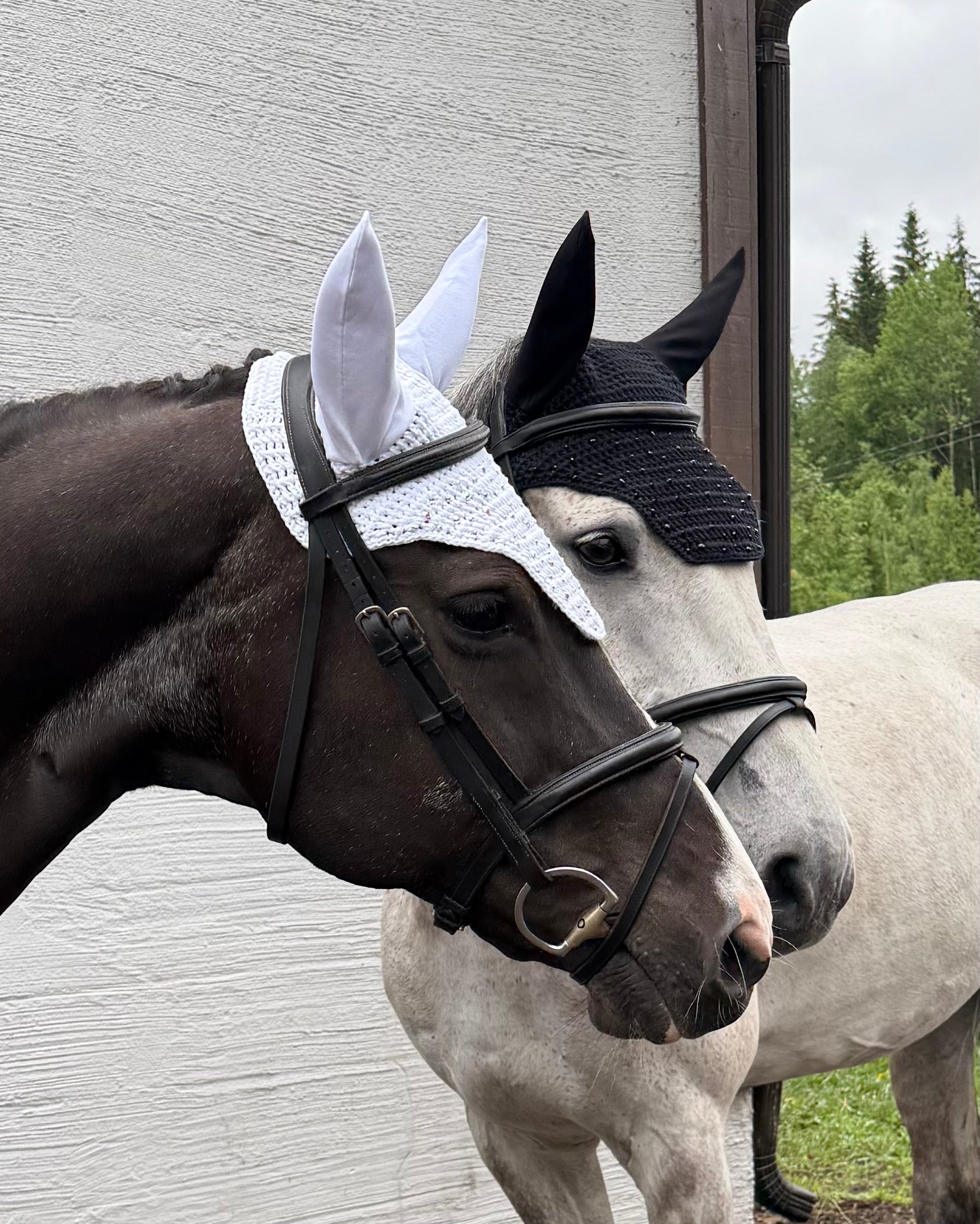 MUSTA NELIÖREUNAINEN KORVAHUPPU MUSTILLA STRASSEILLA