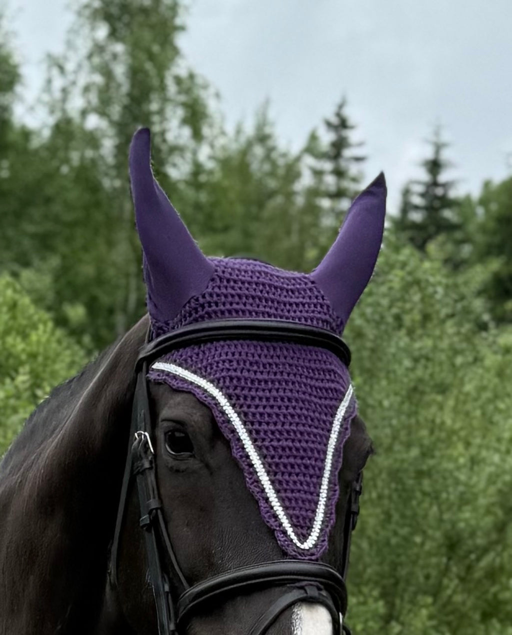 VIOLETTI PITKÄ KORVAHUPPU