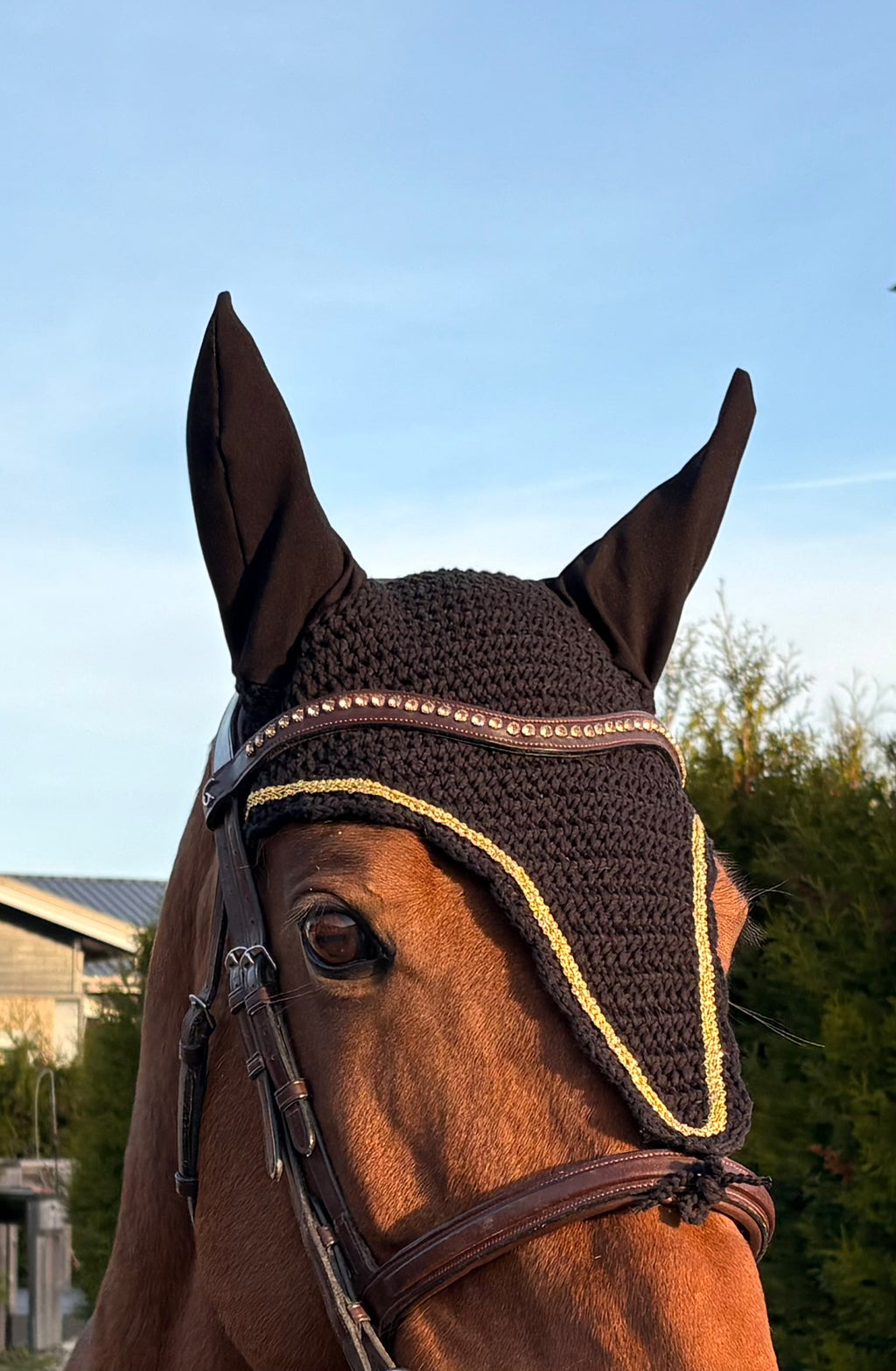 MUSTA PITKÄ KORVAHUPPU