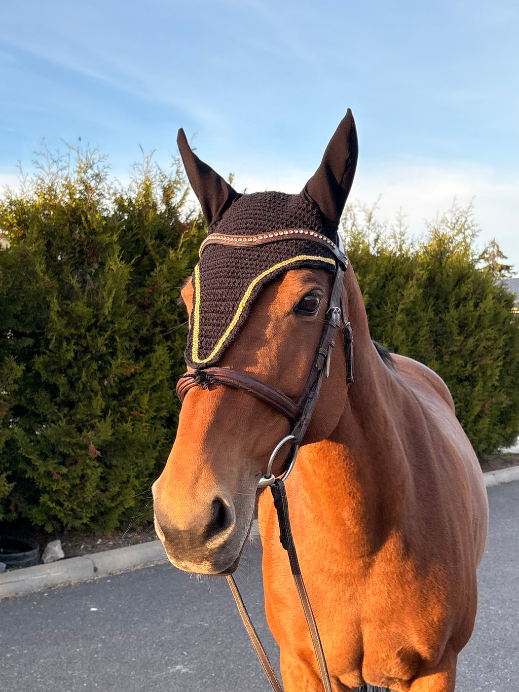 MUSTA PITKÄ KORVAHUPPU