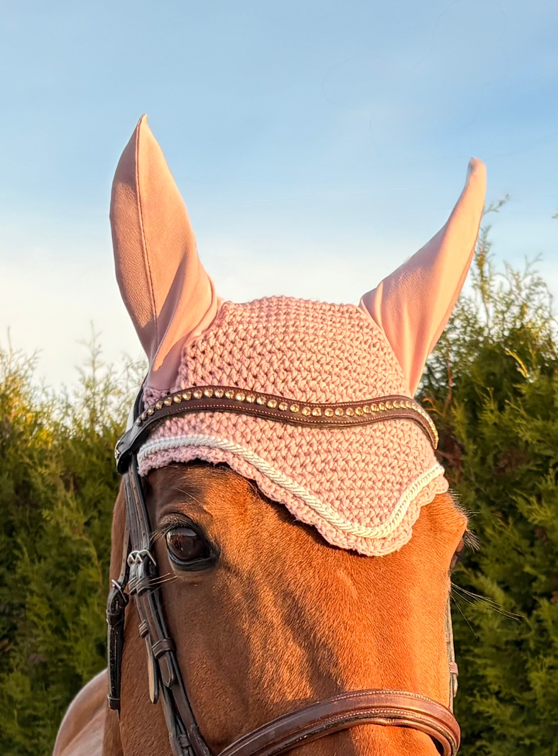 ROOSA PYÖREÄREUNAINEN KORVAHUPPU HELMINAUHALLA