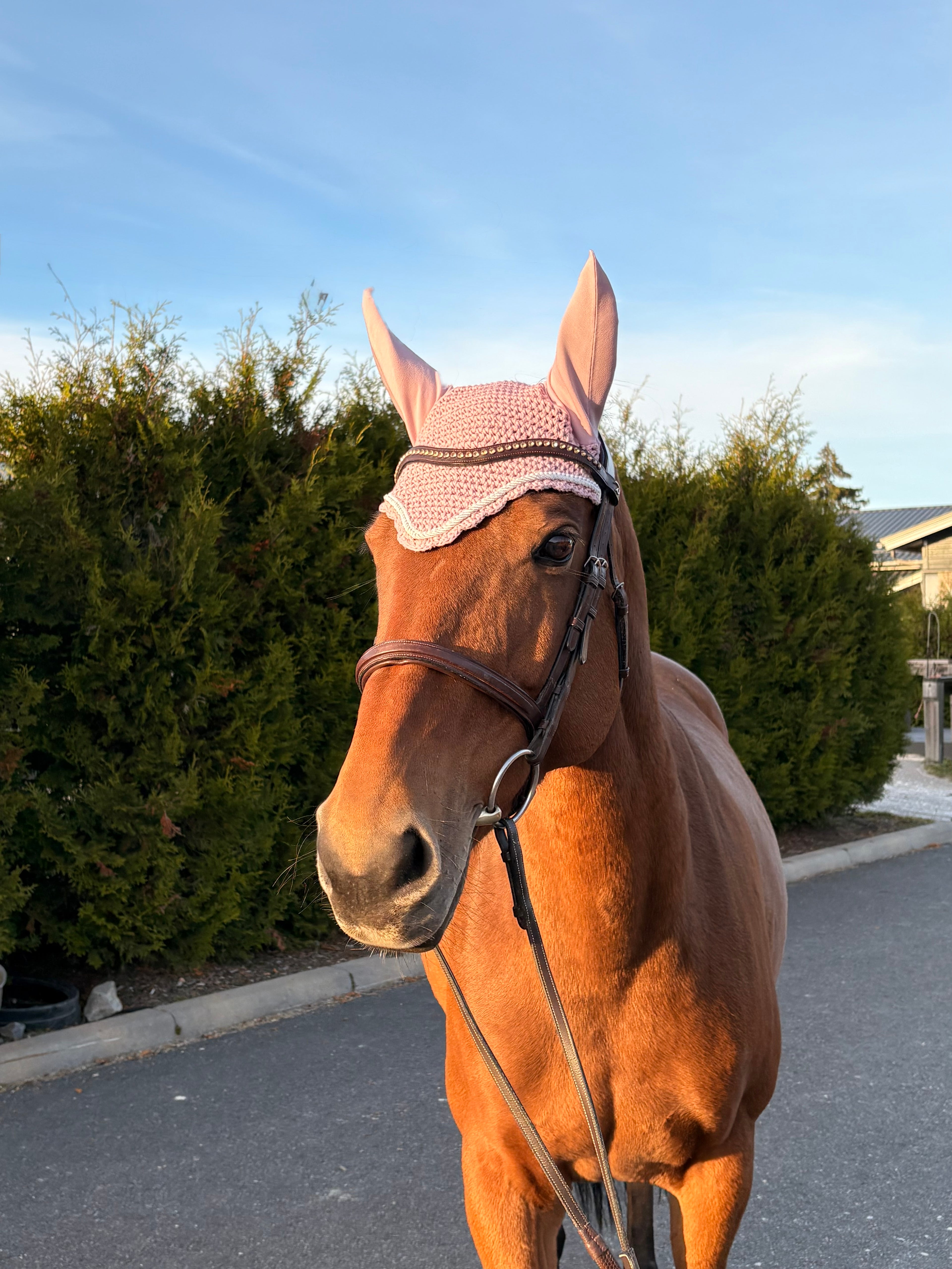 ROOSA PYÖREÄREUNAINEN KORVAHUPPU HELMINAUHALLA