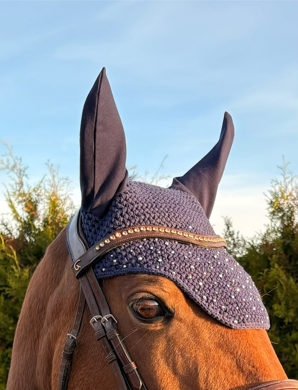 TUMMANSININEN NELIÖREUNAINEN KORVAHUPPU