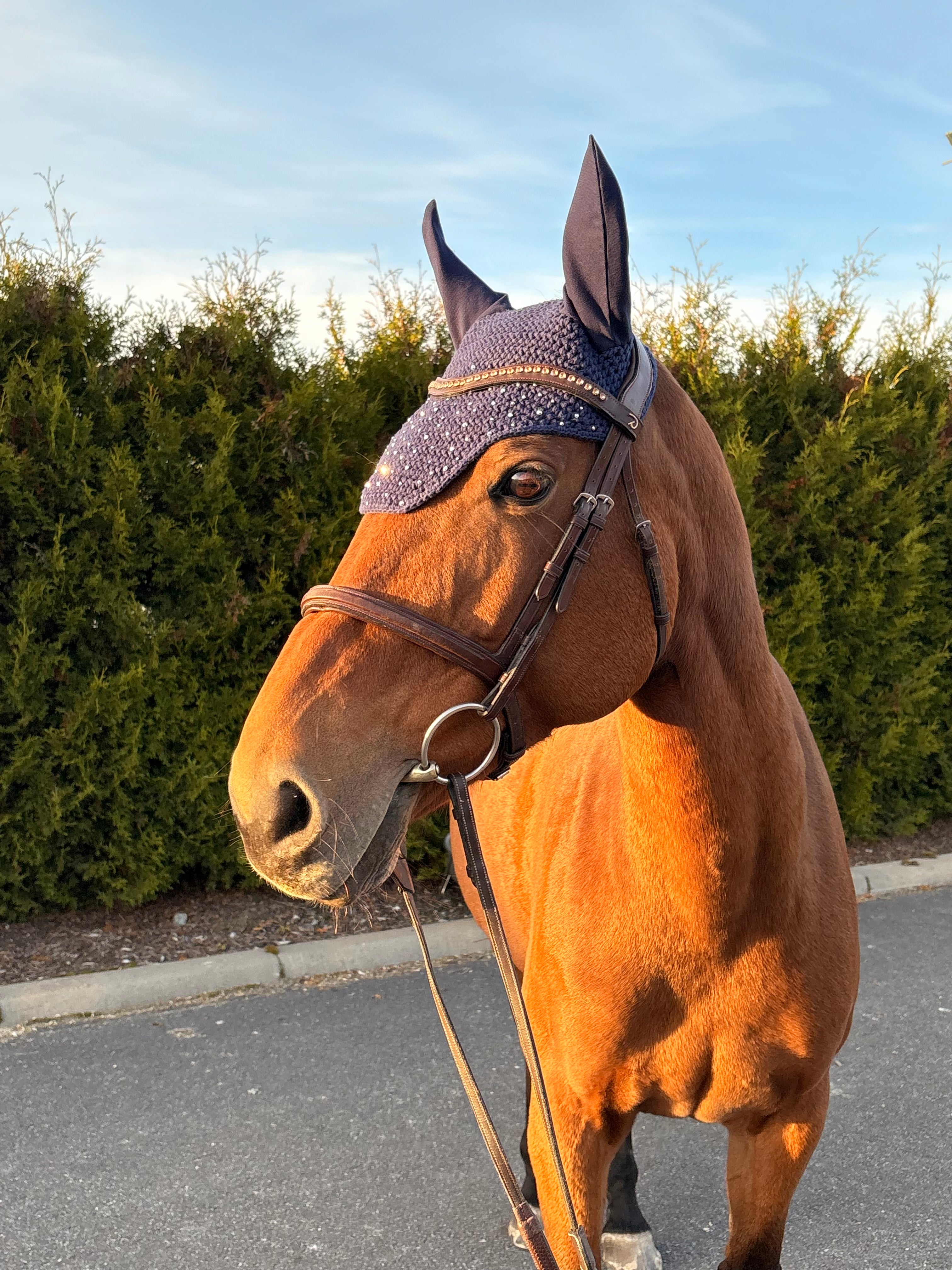 TUMMANSININEN NELIÖREUNAINEN KORVAHUPPU