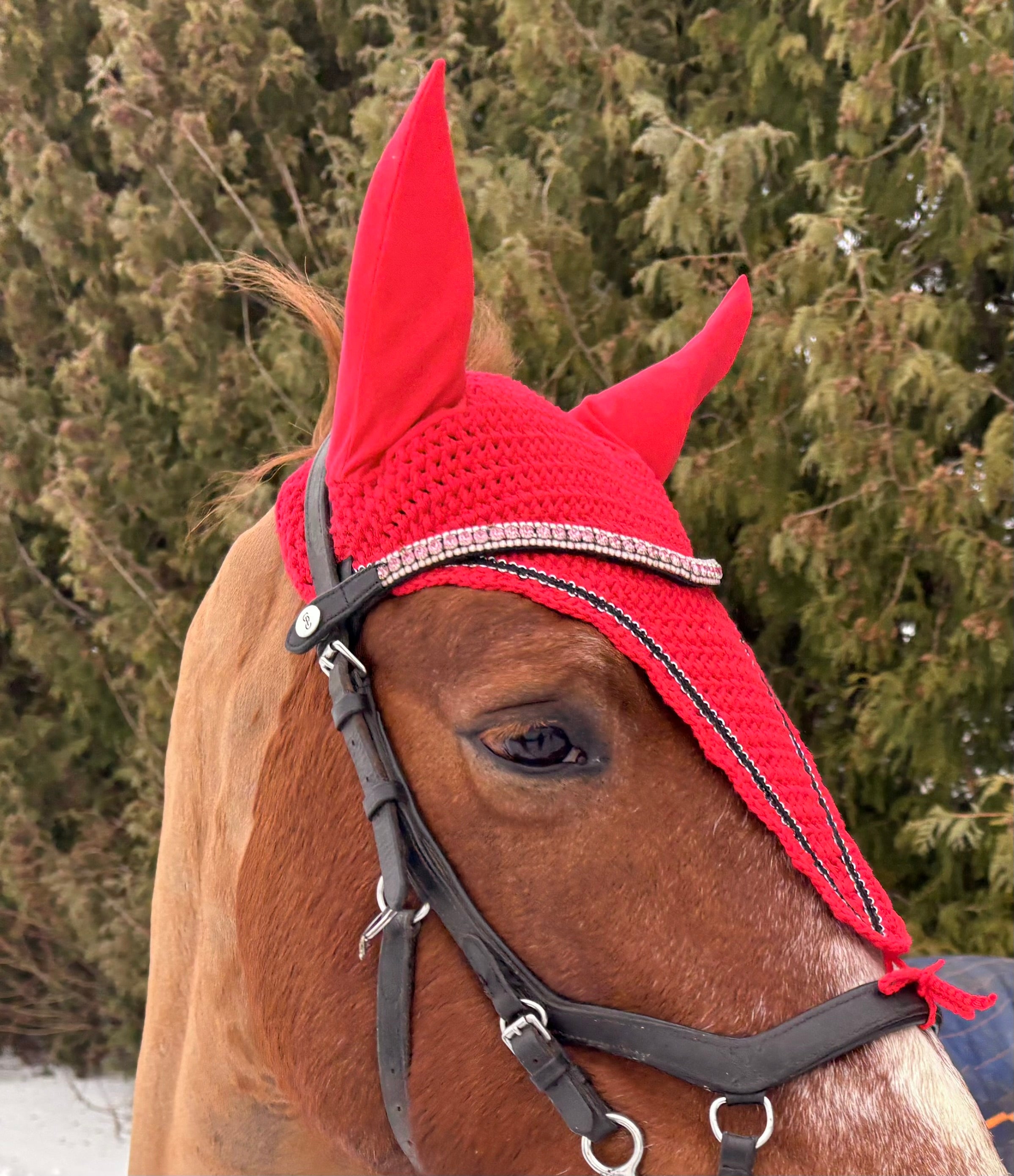 PUNAINEN PITKÄ KORVAHUPPU