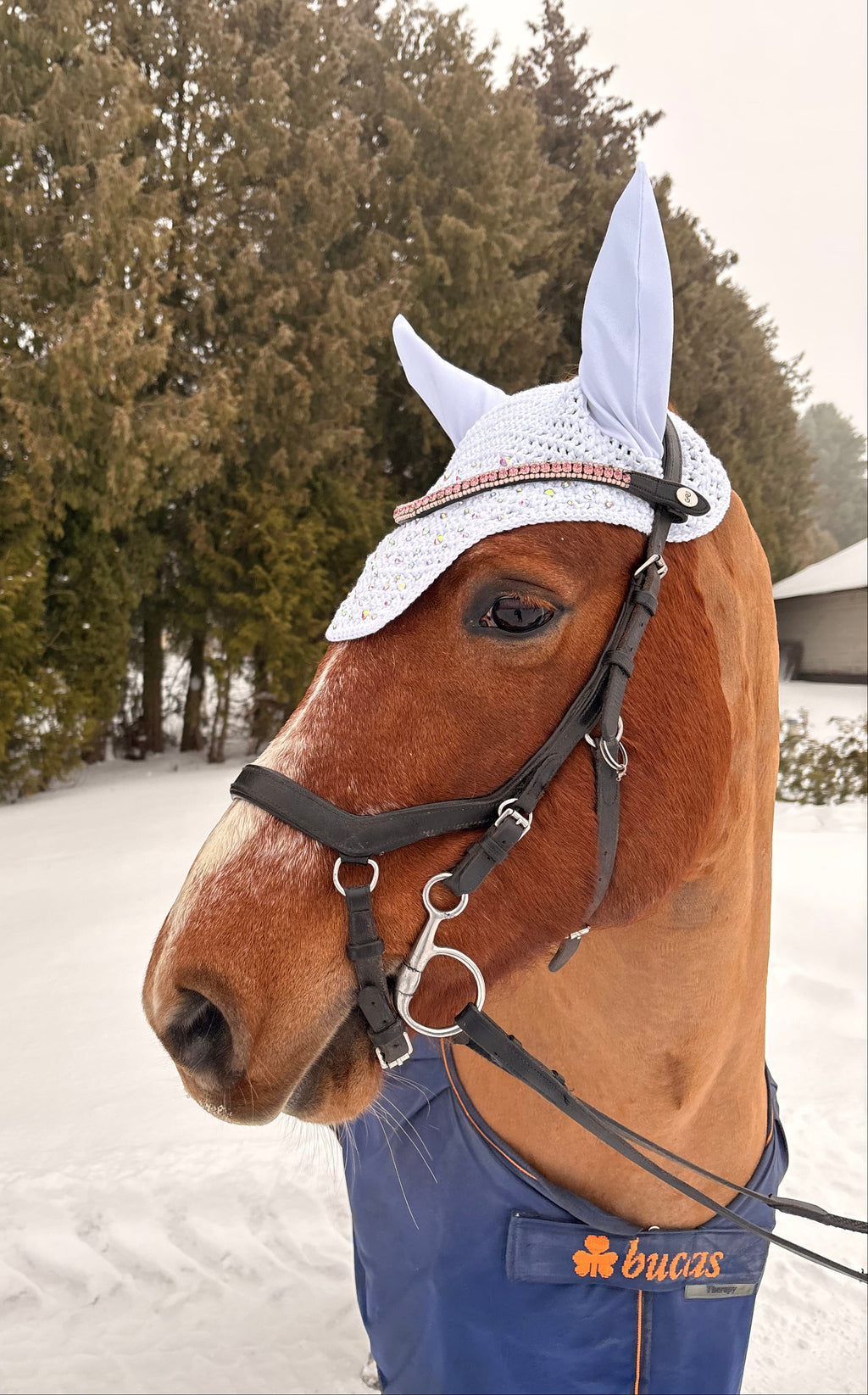 VALKOINEN NELIÖREUNAINEN KORVAHUPPU