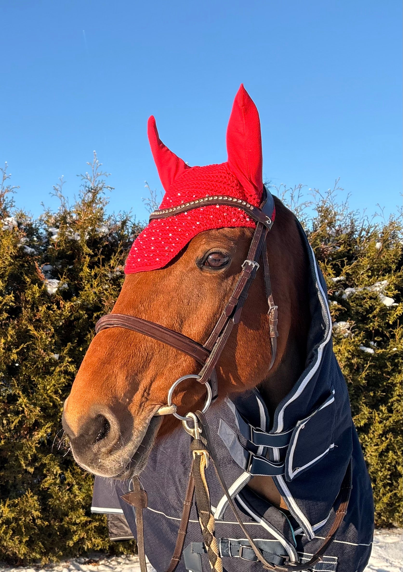 PUNAINEN NELIÖREUNAINEN KORVAHUPPU