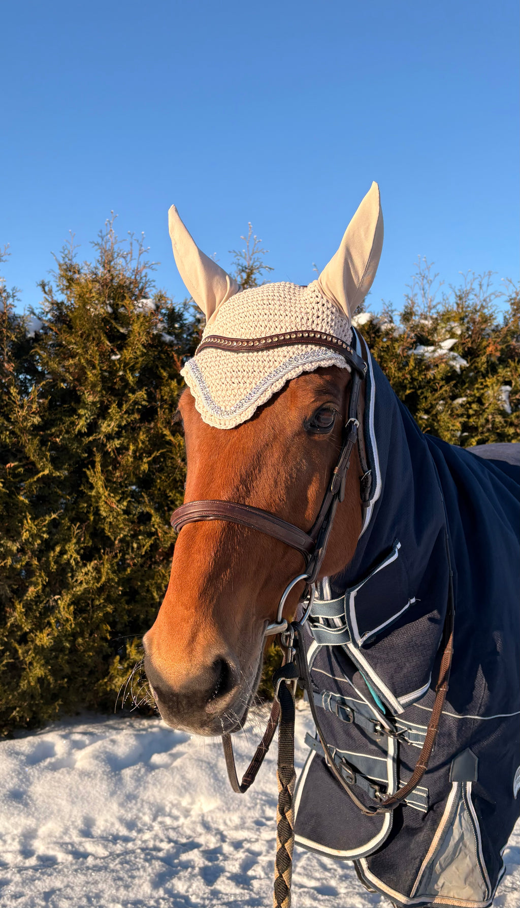 BEIGE PYÖREÄREUNAINEN KORVAHUPPU