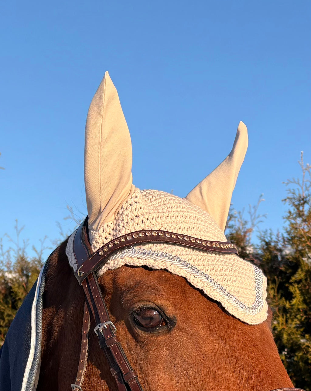 BEIGE PYÖREÄREUNAINEN KORVAHUPPU