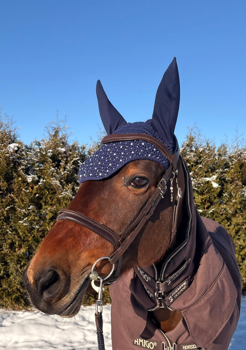 TUMMANSININEN NELIÖREUNAINEN KORVAHUPPU