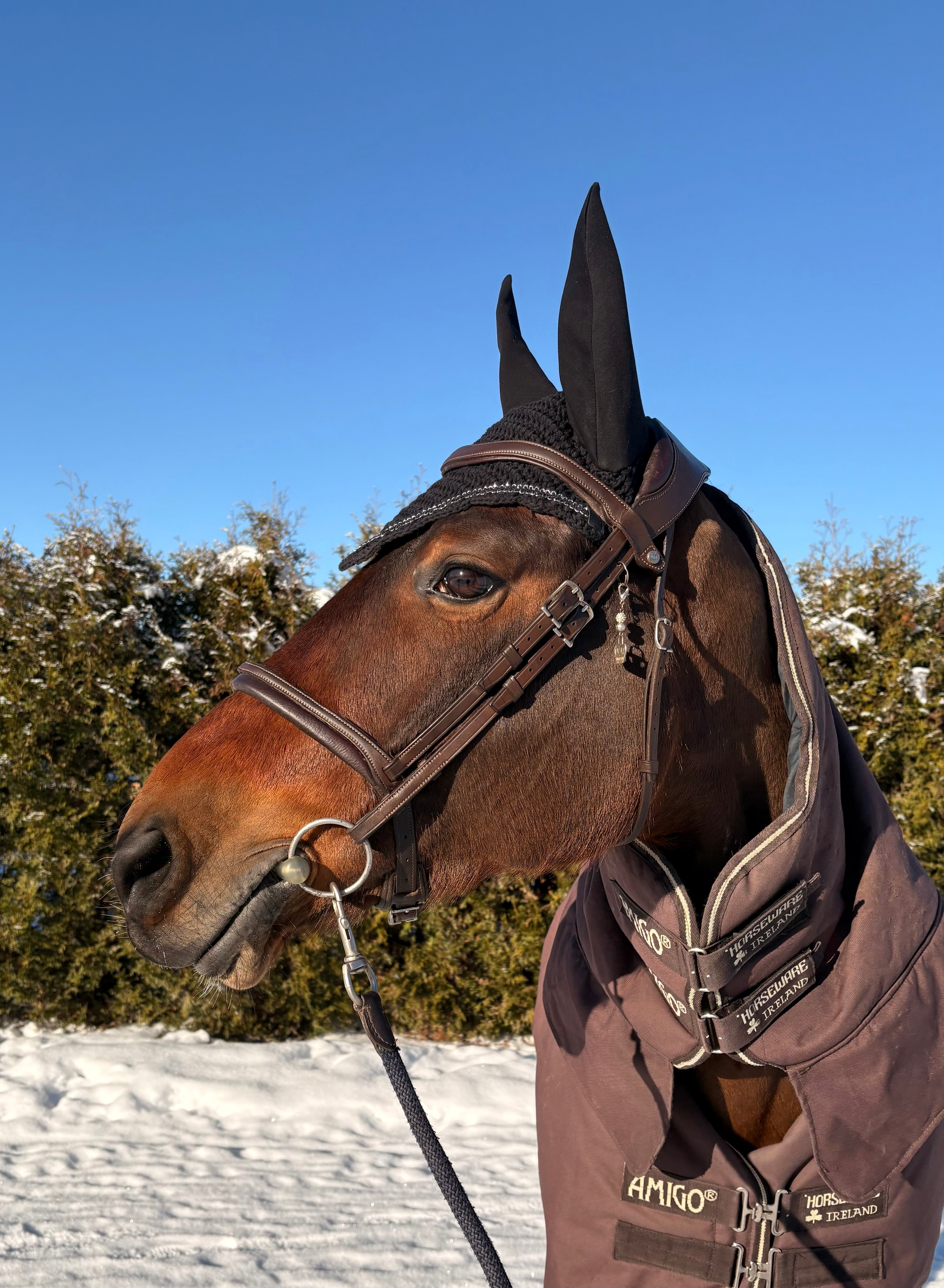 MUSTA PYÖREÄREUNAINEN KORVAHUPPU