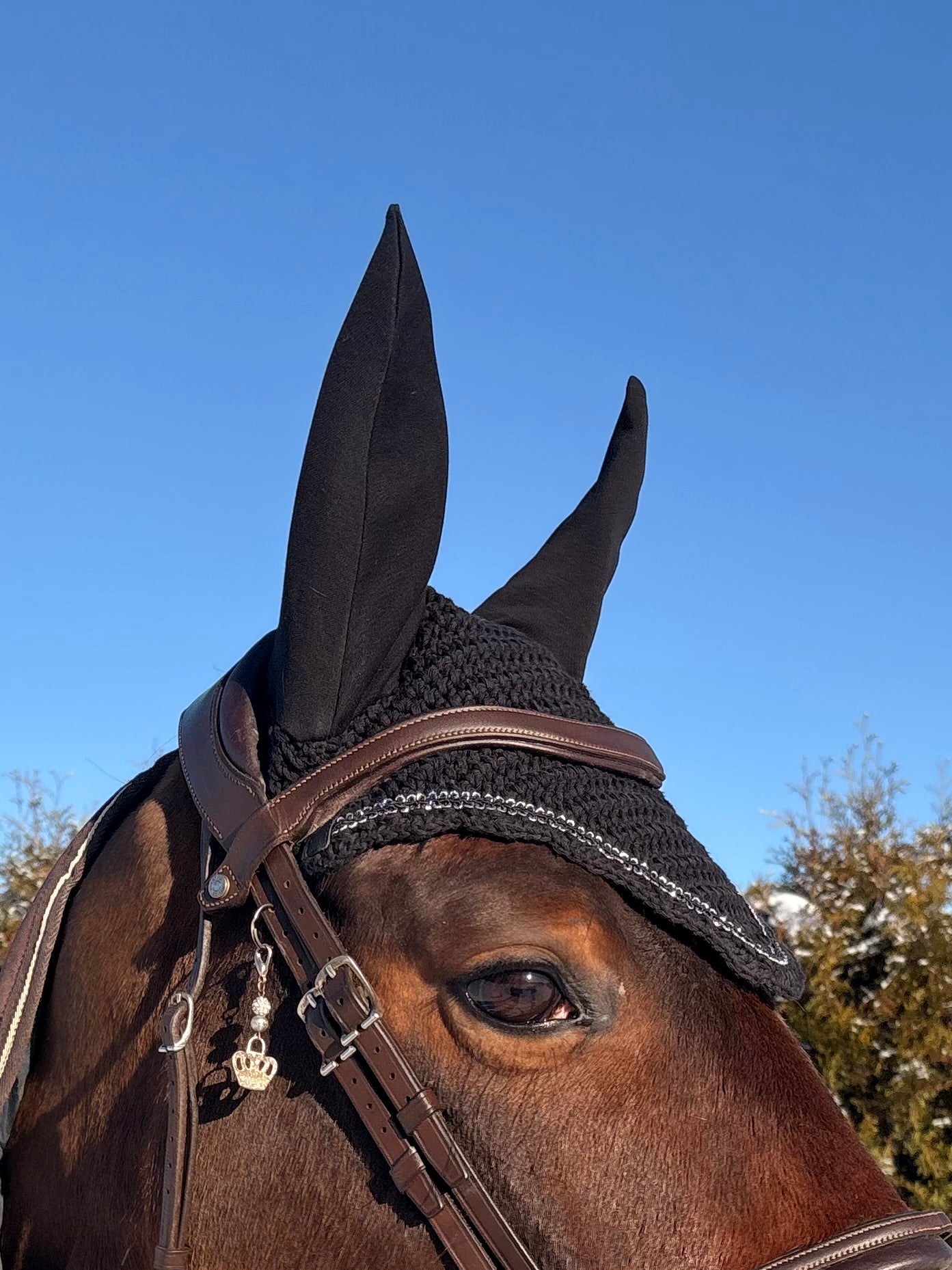 MUSTA PYÖREÄREUNAINEN KORVAHUPPU