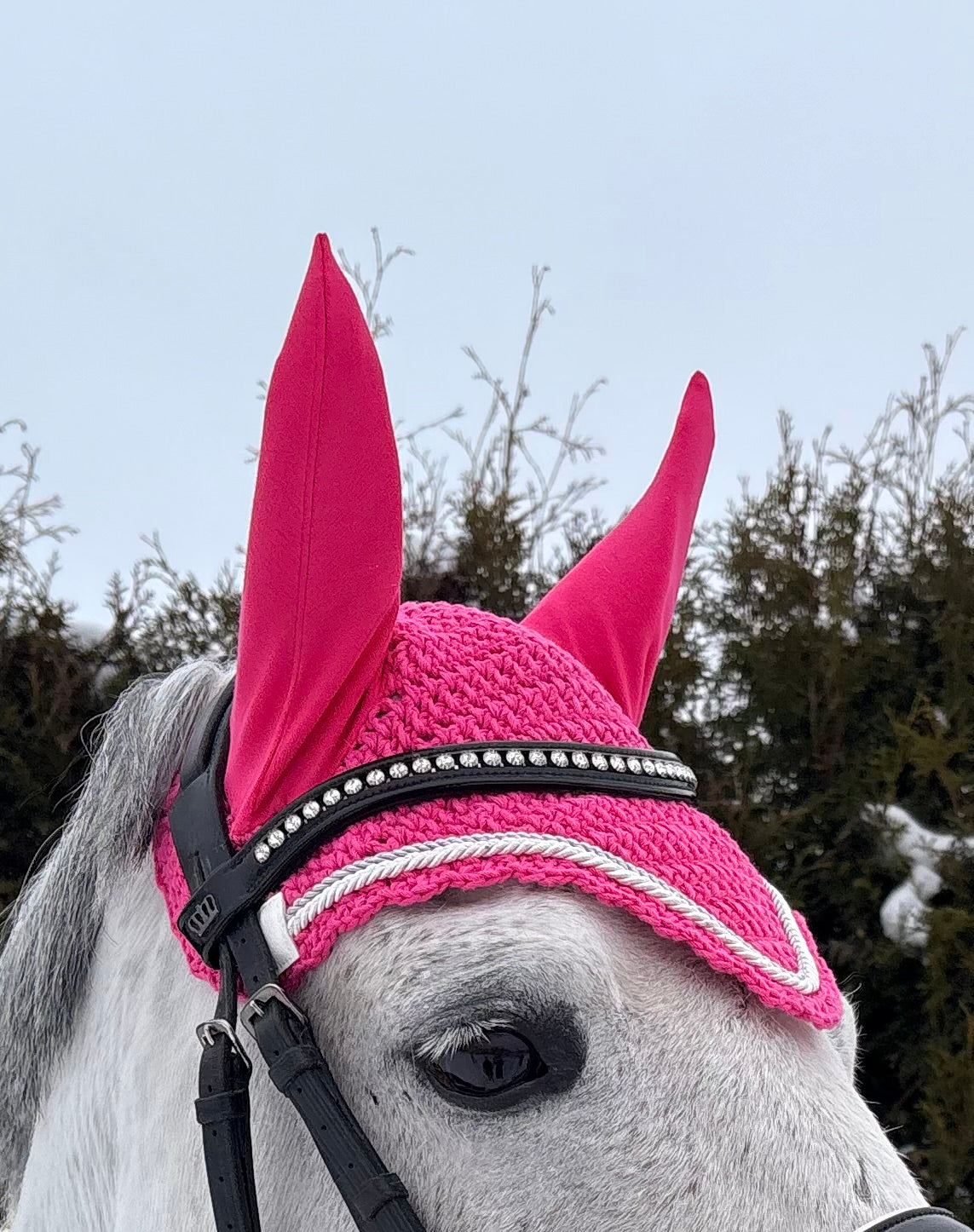 PINKKI PYÖREÄREUNAINEN KORVAHUPPU