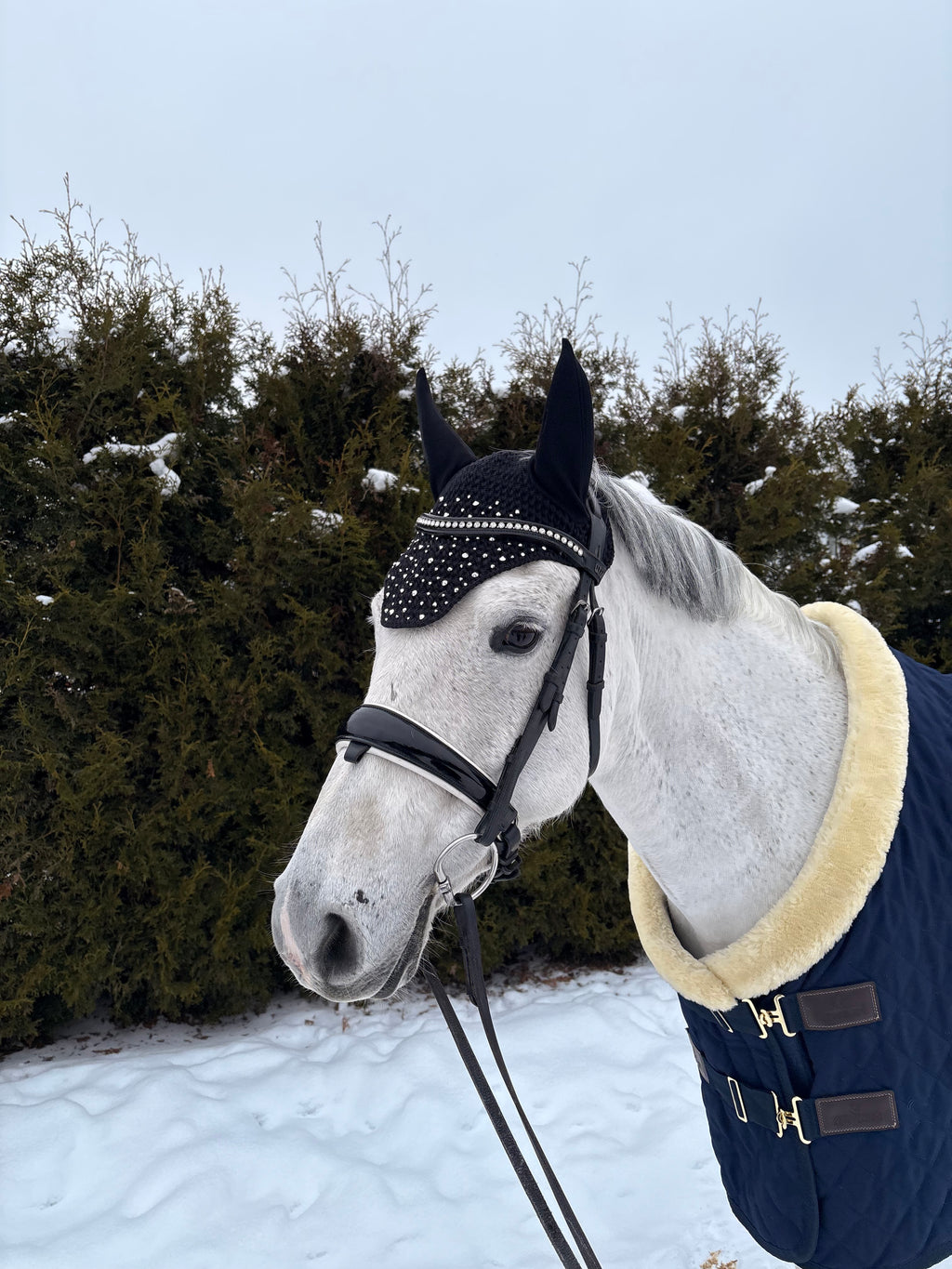 MUSTA NELIÖREUNAINEN KORVAHUPPU