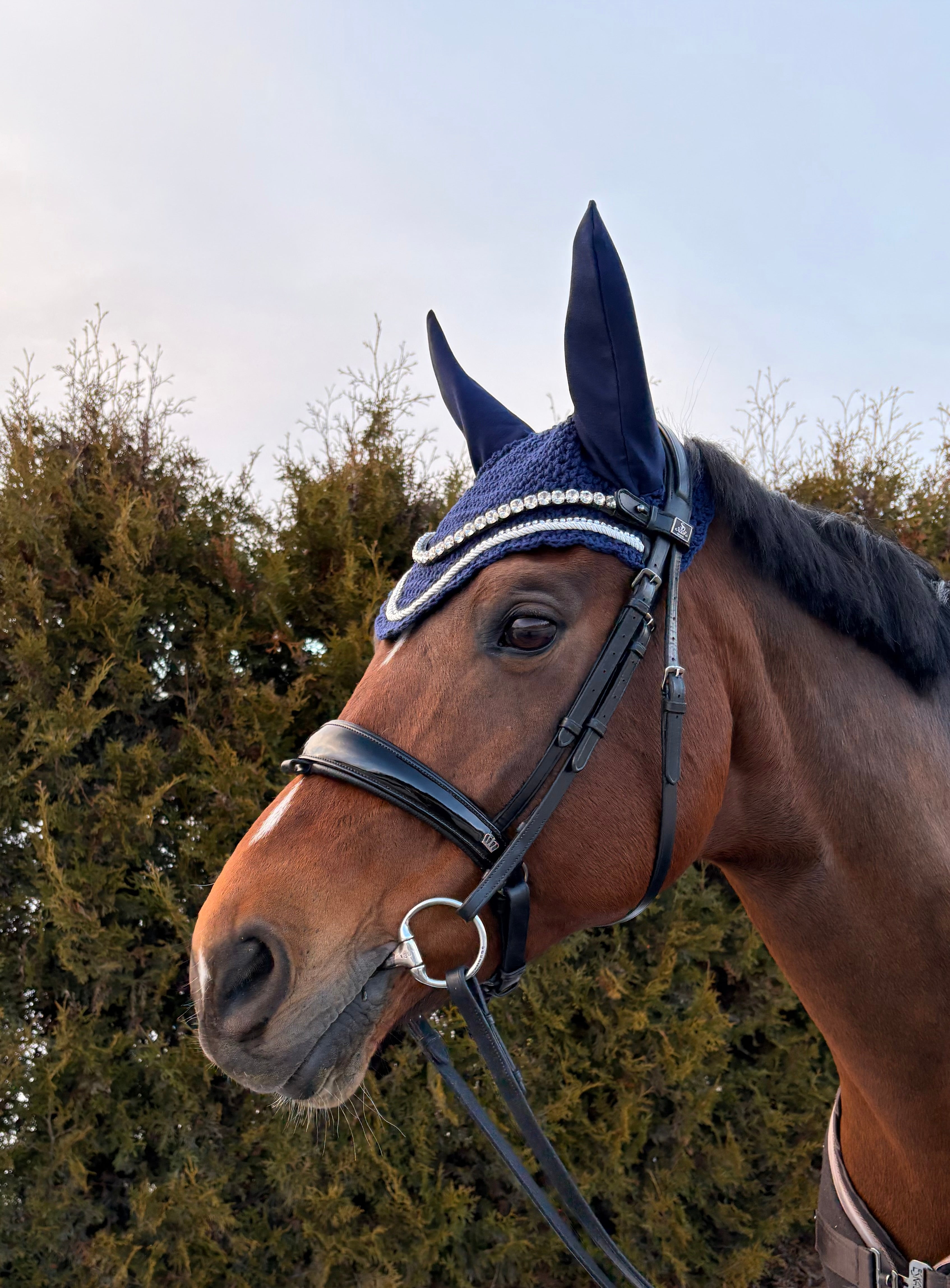 TUMMANSININEN PYÖREÄREUNAINEN KORVAHUPPU