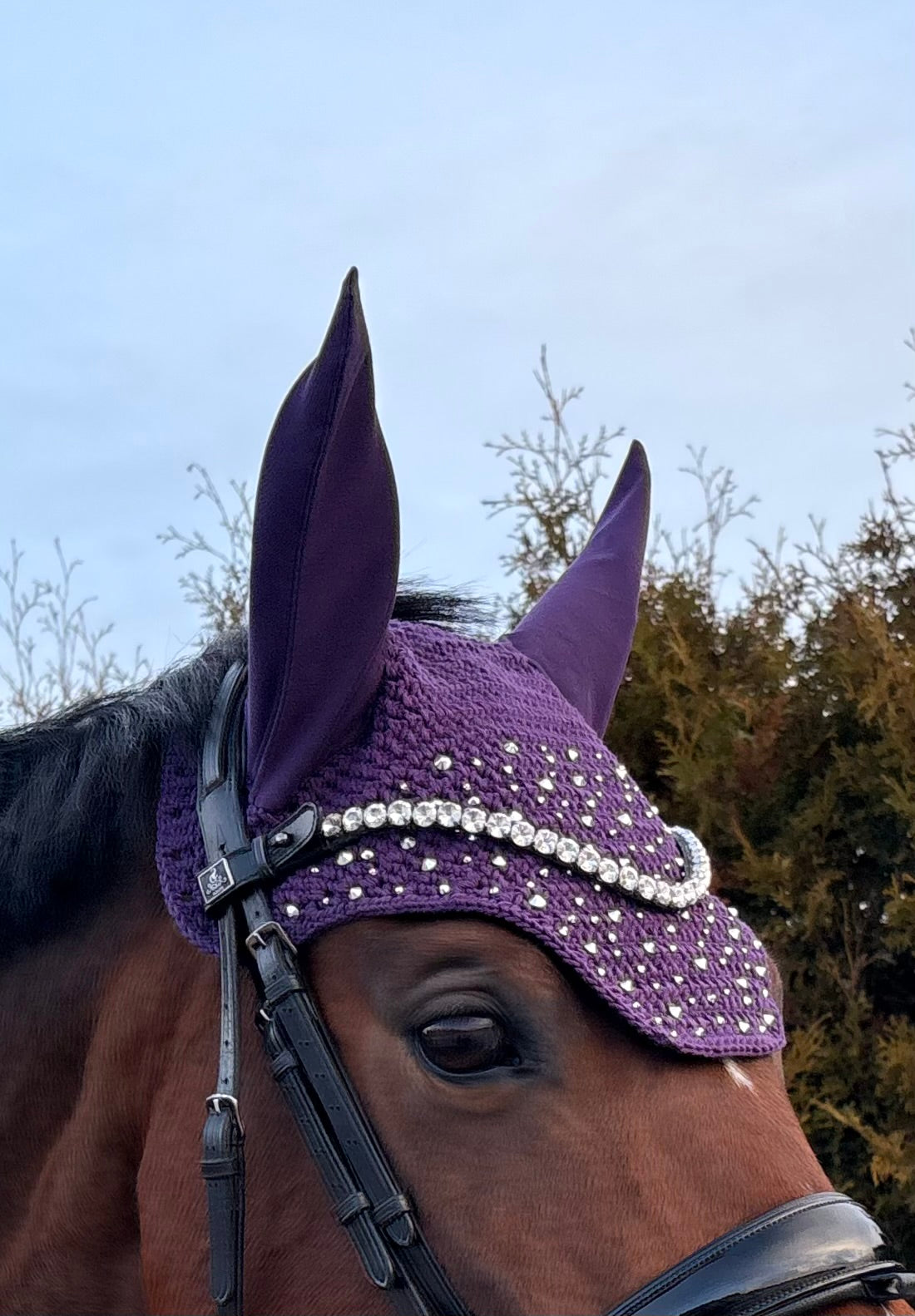 VIOLETTI NELIÖREUNAINEN KORVAHUPPU