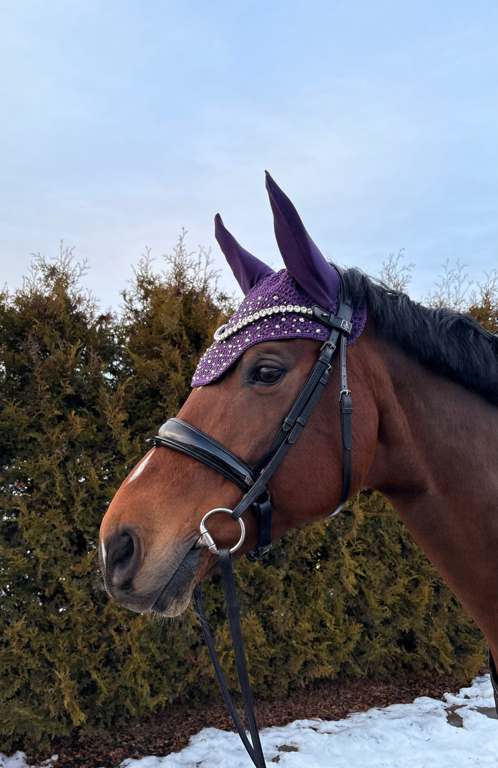 VIOLETTI NELIÖREUNAINEN KORVAHUPPU