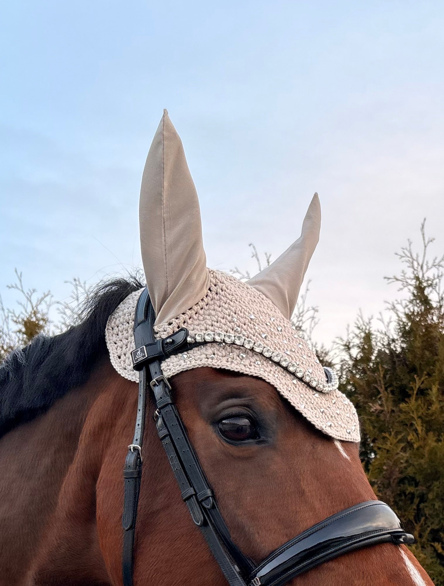 BEIGE NELIÖREUNAINEN KORVAHUPPU