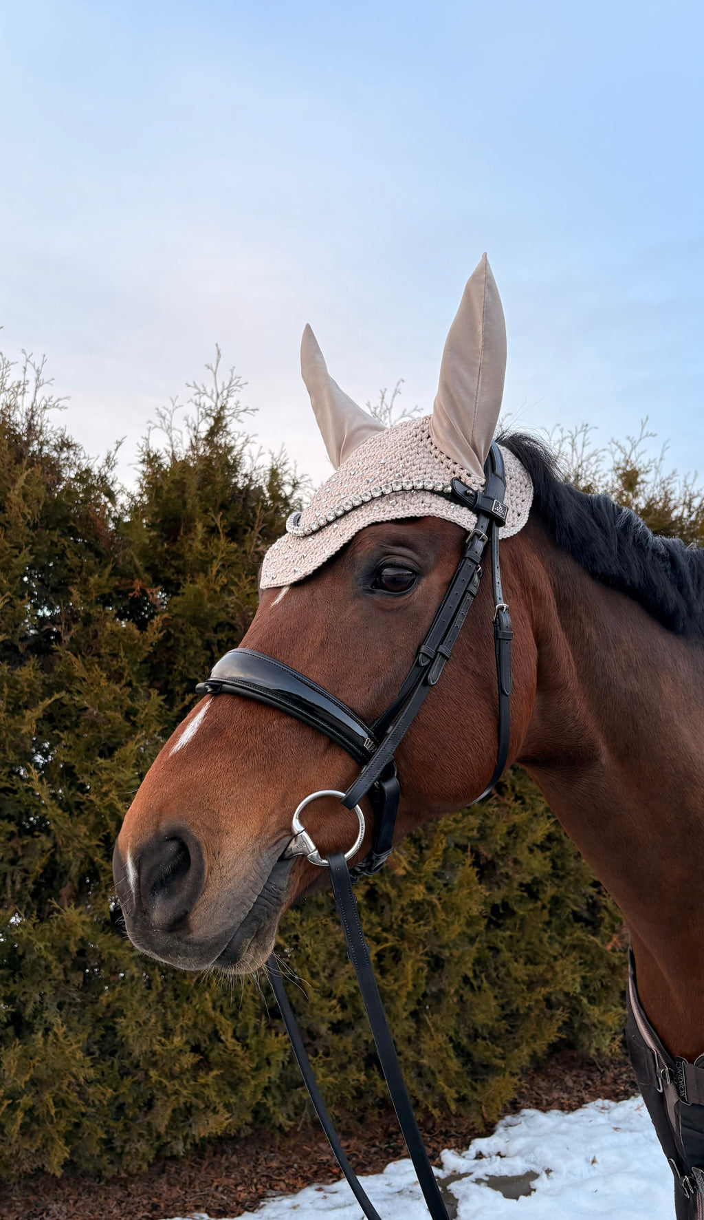 BEIGE NELIÖREUNAINEN KORVAHUPPU