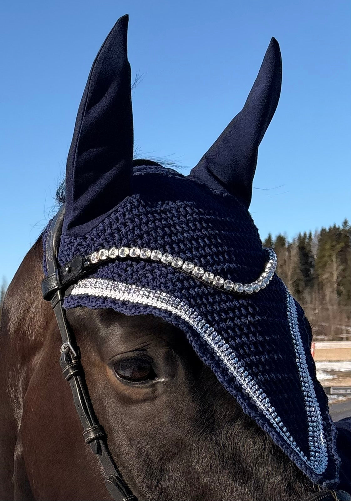 TUMMANSININEN PITKÄ KORVAHUPPU