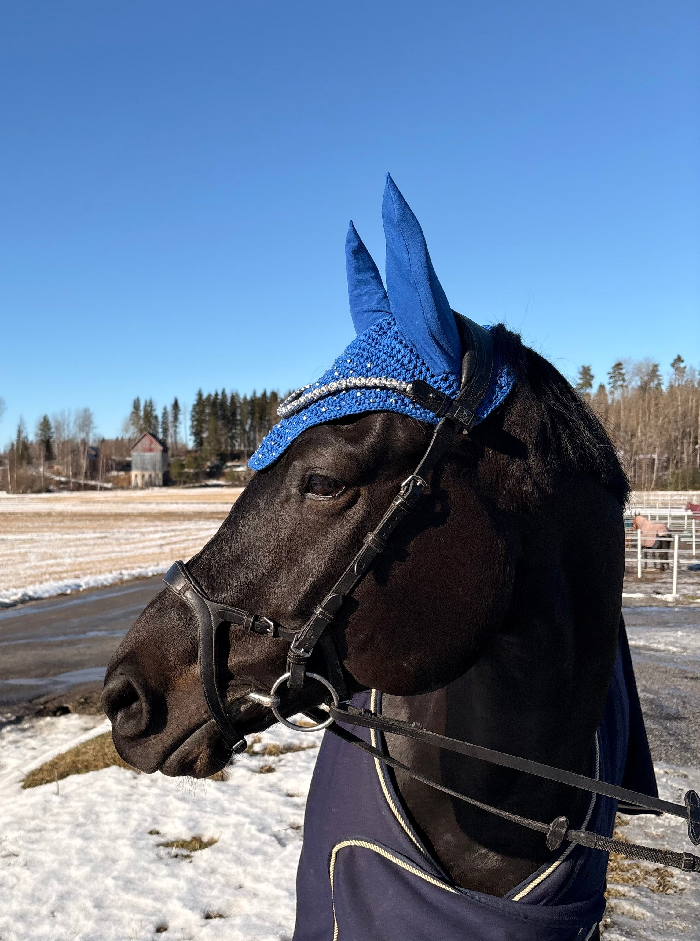 KIRKKAANSININEN NELIÖREUNAINEN KORVAHUPPU