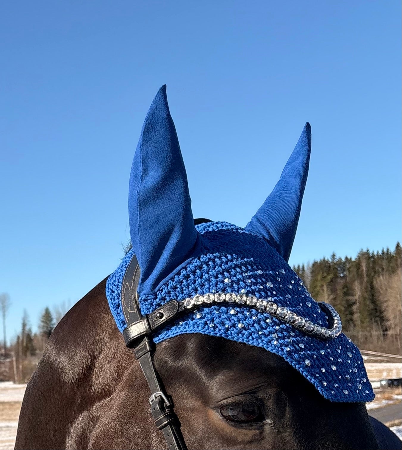 KIRKKAANSININEN NELIÖREUNAINEN KORVAHUPPU