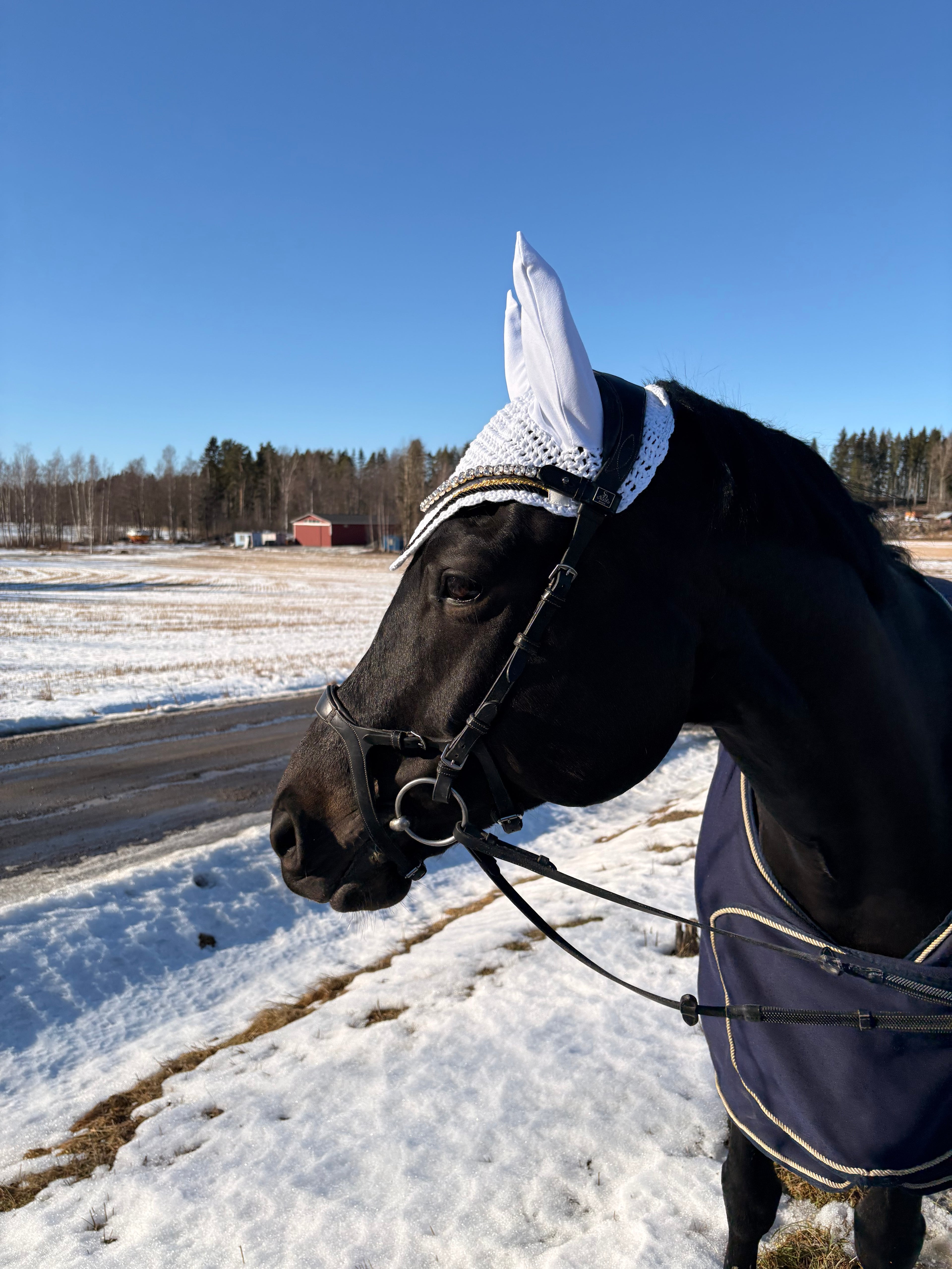 VALKOINEN PYÖREÄREUNAINEN KORVAHUPPU