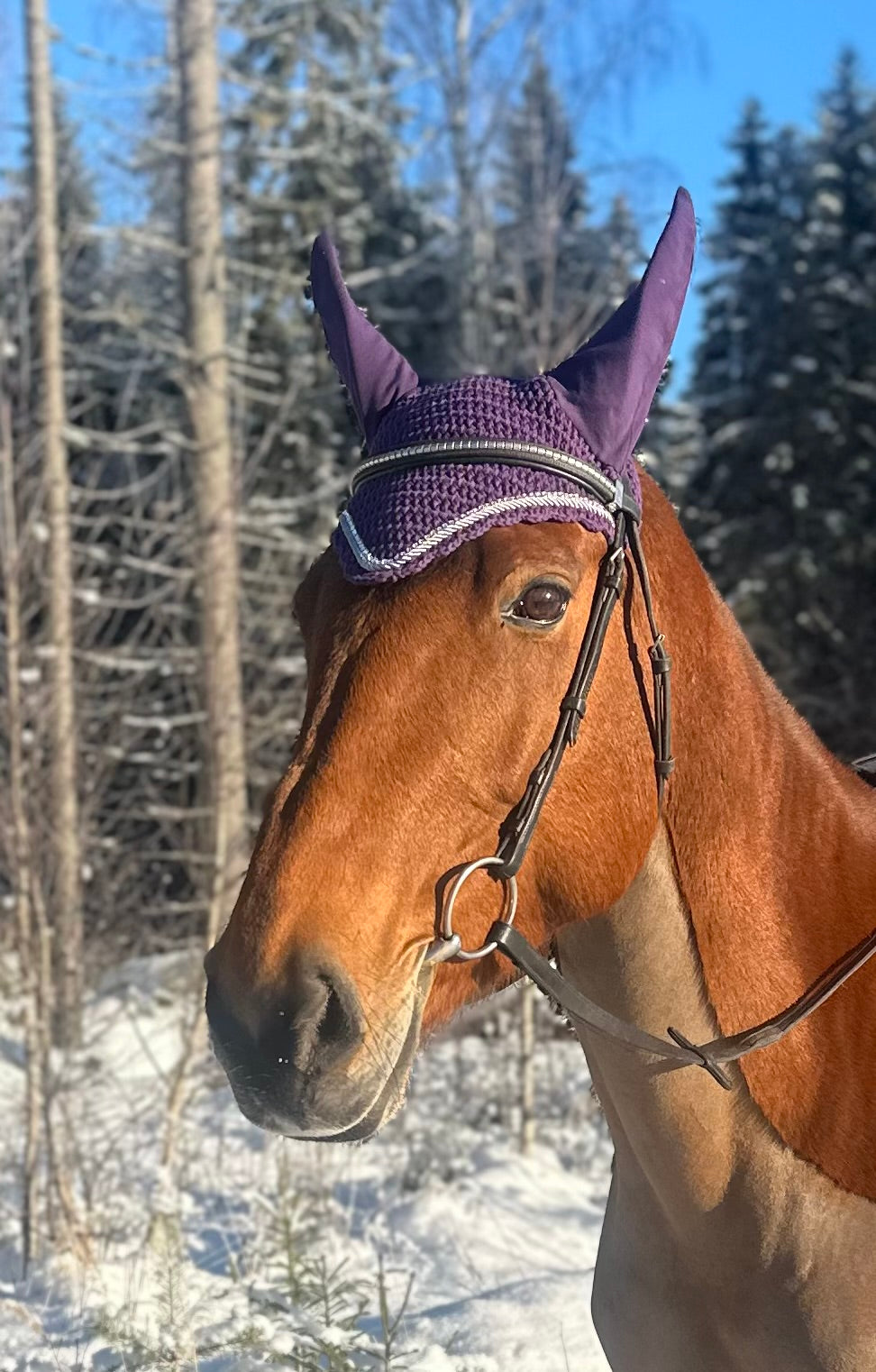 VIOLETTI PYÖREÄREUNAINEN KORVAHUPPU