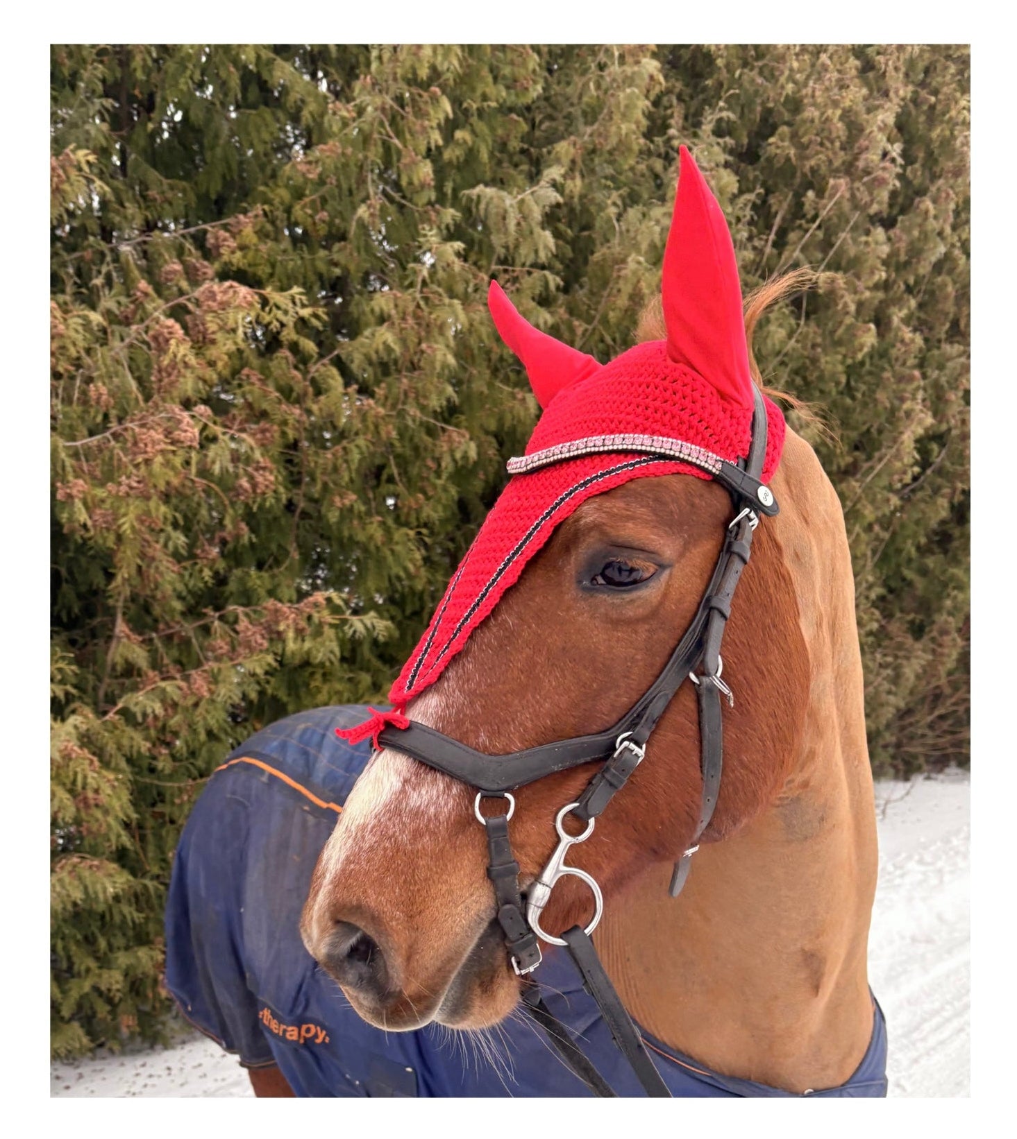 PUNAINEN PITKÄ KORVAHUPPU