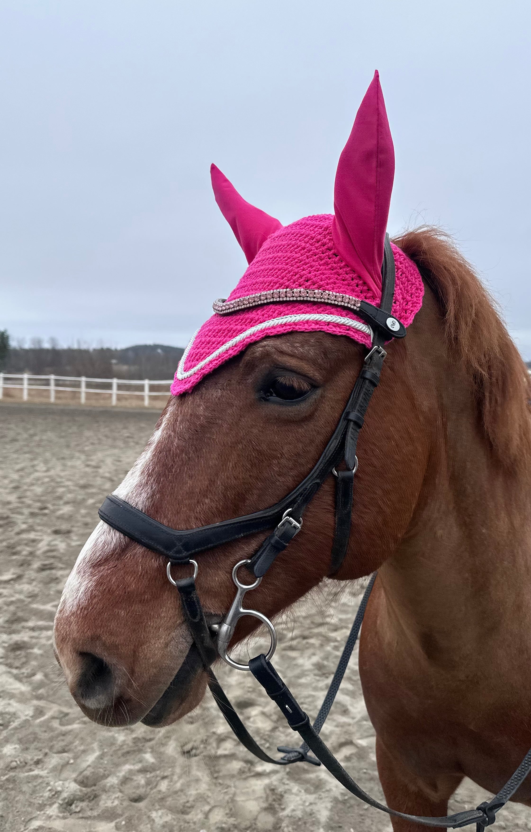 PINKKI PYÖREÄREUNAINEN KORVAHUPPU
